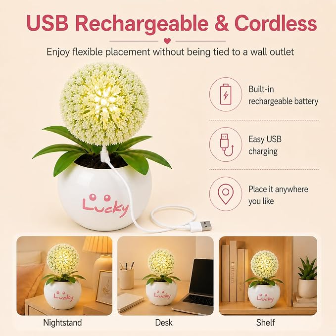 Dandelion LED Night Light,Rechargable Flower Bonsai Desk Lamp with Ceramic Base,Stepless Dimmable & Touch Control Accent Light,Aesthetic Room Decor for Bedroom,Dorm,Gifts for Girls Women (White)