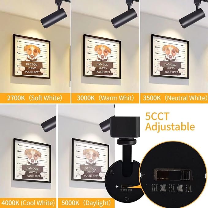 5-Color LED Track Lighting Heads 12W Dimmable,Adjustable Beam Degree15°/24°/36°/45°/60°,2700K/3000K/3500K/4000K/5000K,Single Circuit H Track Lighting Heads Ceiling Fixtures Art LightingLighting
