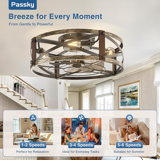 Passky 20" Caged Ceiling Fans with Lights and Remote, Low Profile Fandelier | Reversible DC Motor, 1/2/4H Timer, 6 Speeds, Farmhouse Style, Quiet Operation, for Bedroom, Kitchen, Dining Room, Living Room