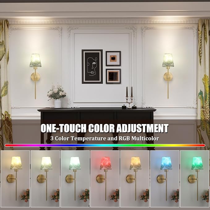 Shenmoyl Battery Operated Wall Sconces Set of 2, Flower Pattern Shade 5000 mAh Rechargeable Bulb with 12 RGB Colors Dimmable Wall Sconce for Living Room Bedroom