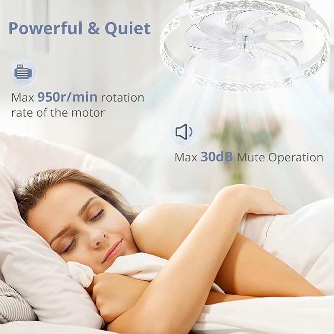 LEDIARY 2 Pack 24" Ceiling Fans with Lights and Remote, Fandelier White | 3CCT, 6 Speeds, Dimmable Low Profile, Flush Mount Ceiling Fan, Timer, Reversible, Memory, Bedroom, Living Room, Kitchen