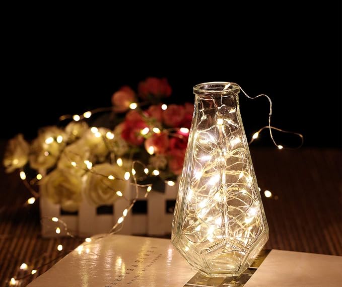 WSgift 2 Pack 20 Feet 60 Warm White Led Battery Operated Fairy Lights with Remote Control Timer Waterproof Silver Copper Wire Twinkle String Lights for Party Bedroom Wedding Christmas Decorations