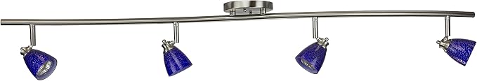 4 Light Adjustable Track Light, Brushed Steel Finish, Blue Glass Shade, Ready to Install, Bulb Included, D268-44C-BS-BLS