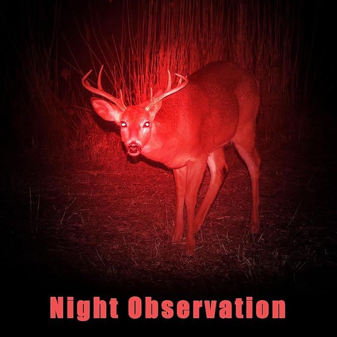 Honoson 8 Pieces Red Light Flashlight LED Single Mode Torch 1 Mode Scalable Red Lens Filter Flashlight for Night Astronomy Aviation Observation Beach Safe