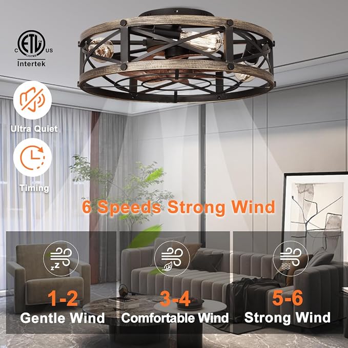 SHLUCE Caged Ceiling Fan with Light and Remote, Farmhouse Fandelier | 19" Flush Mount Small Rustic Low Profile Bladeless Design, Quiet Operation, ETL Listed, for Kitchen & Bedroom Indoor Use