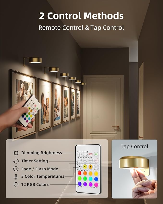 EZVALO Picture Lights for Wall, 2000mAh Rechargeable Battery Magnetic Poster Lights with 3 Color Temps & 12 RGB, Remote Dimmable Timer Painting Light, Wall Decor Light for Art Display, Frame (3 Pack)