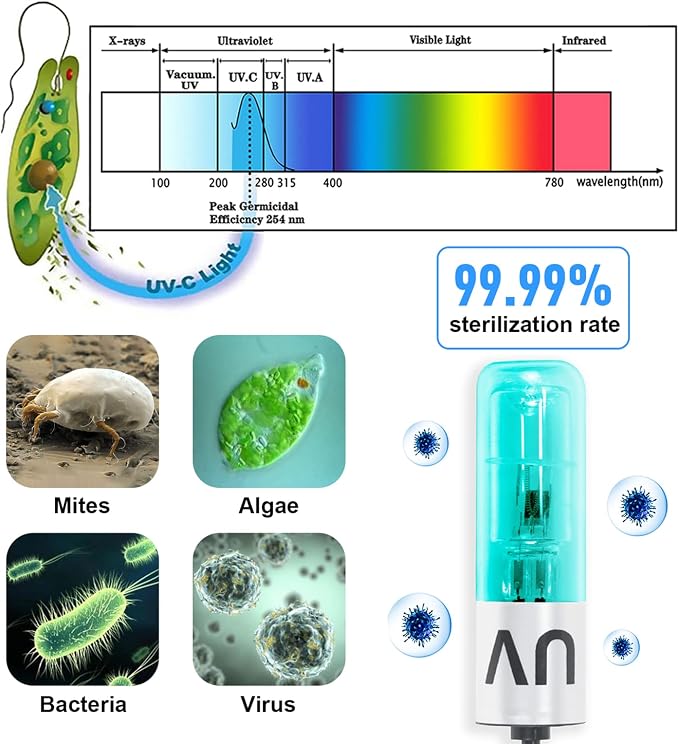 Aquarium Lamp 3W Mini Fish Tank Clean Green Light Submersible Use in Filter Area for 10-45 Gallon Fish Tank Pond Cloudy Water Clean and Clear