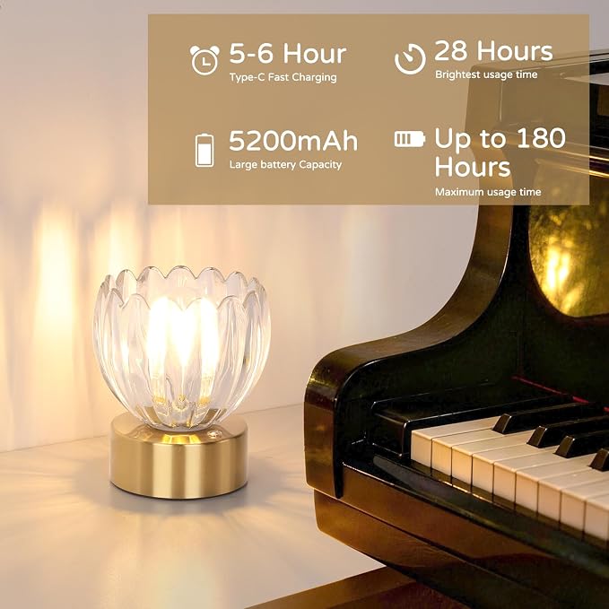 Shenmoyl Cordless Small Table Lamp with 5200mAh Battery & Touch Control, Battery Operated Tulip Table Lamp with 3 Colors, Rechargeable Mini Table Lamps for Bedsides, Bedroom, Nightstand (Transparent)