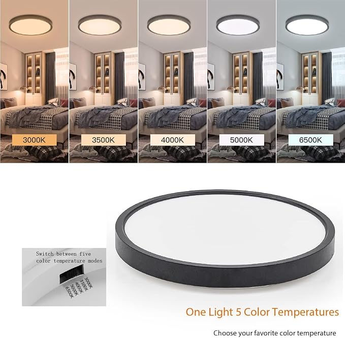 TALOYA 2-Pack 15.8" LED Flush Mount Ceiling Light Fixture,24W 5CCT,Black | 100–240 VAC Input,Edge-Lit LED Modern Ceiling Lamp for Living Room,Bedroom,Hallway,Kitchens