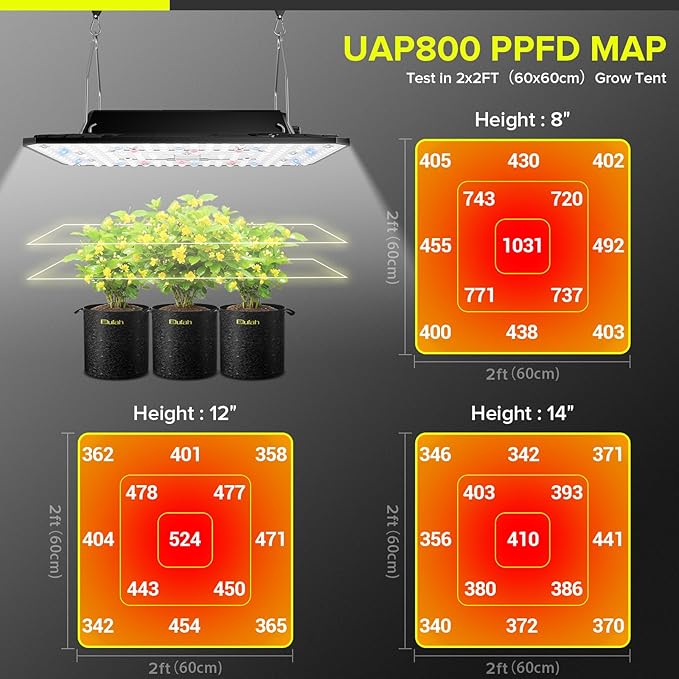 80W LED Grow Light Full Spectrum Growing Lamp for Indoor Plants | UAP800 New-gen Lens Dimmable Daisy Chain Deeper Penetration Grow Lights for Seed Starting Vegetables Bloom in 2x2ft Grow Tent