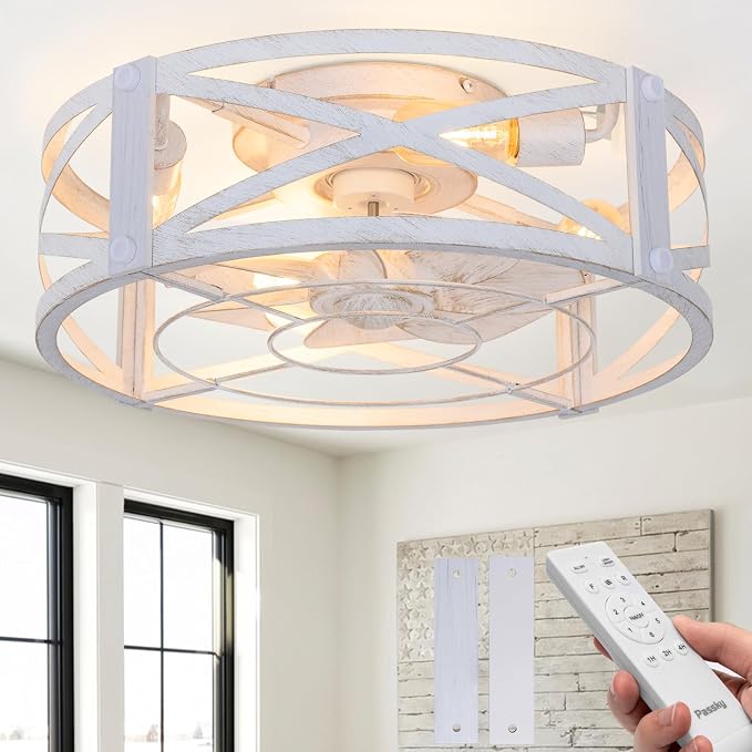 Passky 20" Caged Ceiling Fans with Lights and Remote, Low Profile Fandelier | Reversible DC Motor, 1/2/4H Timer, 6 Speeds, Farmhouse Style, Quiet Operation, for Bedroom, Kitchen, Dining Room, Living Room