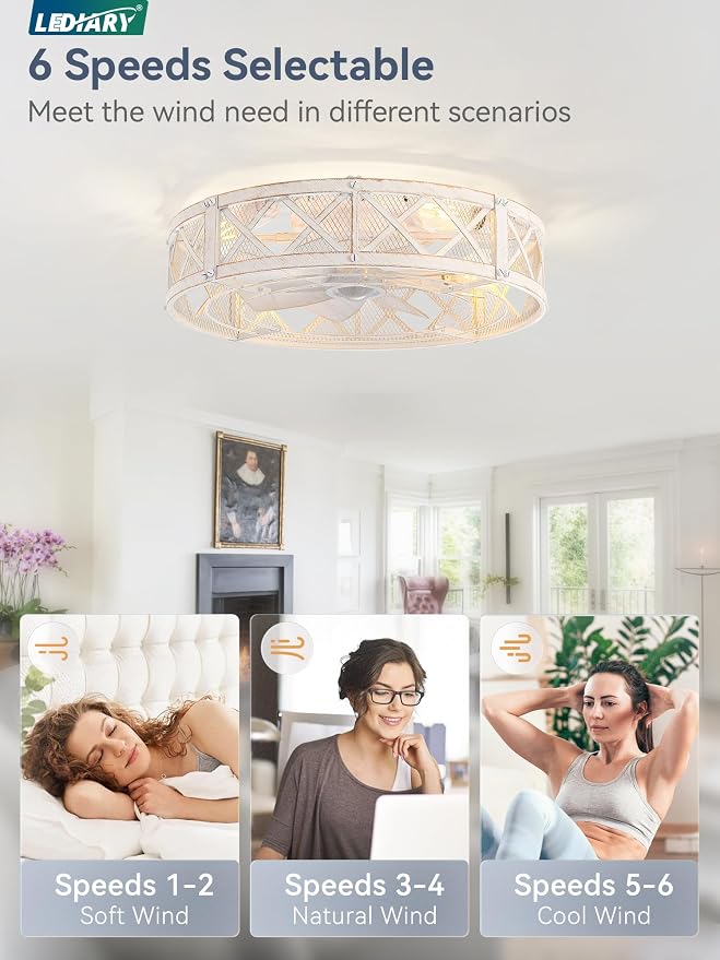 LEDIARY 23" Caged Farmhouse Ceiling Fan with Light, Flush Mount, White Gold | Remote&APP Control, Large Low Profile, Rustic Fandaliers, Industrial Bladeless Enclosed, Powerful Motor for Bedroom, Kitchen
