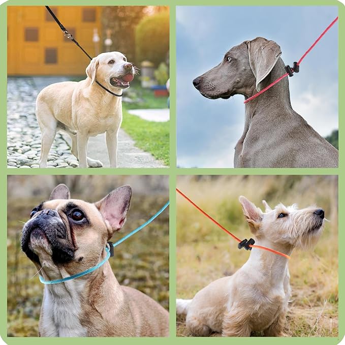 18" Dog Slip Collar – 5/32" Paracord Rope Dog Collar with Spring-Loaded Stopper & Stainless Steel O-Ring, Reflective for Low-Light Visibility (Hot Pink & Green)