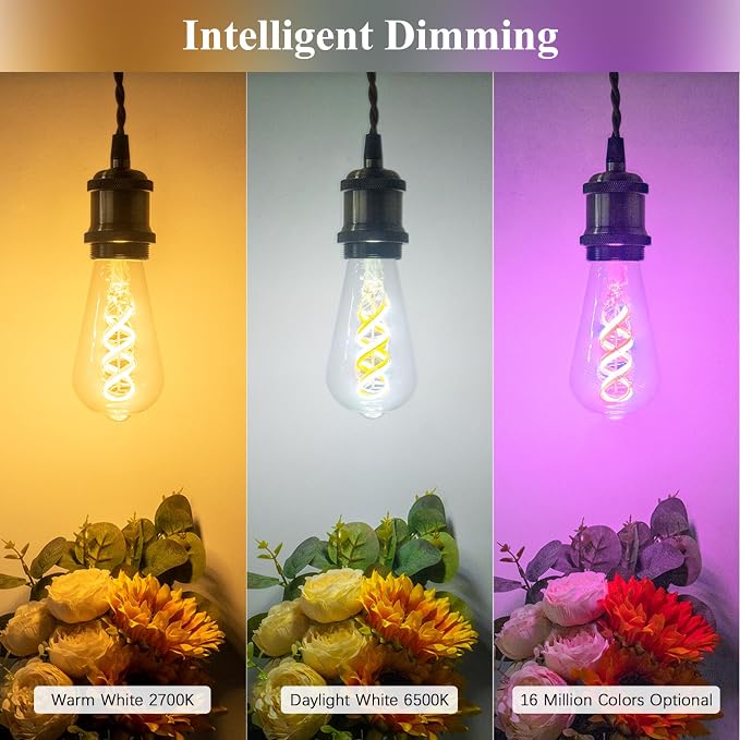 DiCUNO Smart Edison Bulb ST19, RGB Color Changing & Tunable White 1-Pack | WiFi Smart LED Bulb Work with Alexa & Google Home, 2700K-6500K Tunable via App, ST58 Edison Bulb 5W, 50Watt Equivalent, 500LM
