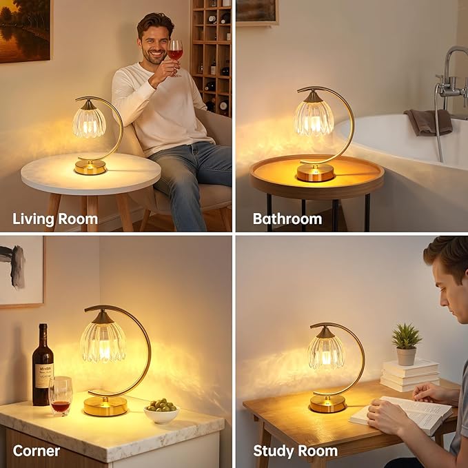 Set of 2 Tulip Table Lamp, 5200mAh Cordless Touch Control Table Lamp with 3 Color Temps & Stepless Dimming, Rechargeable Battery Table Lamp for Living Room, Bedroom, Shelf (Transparent Tulip)