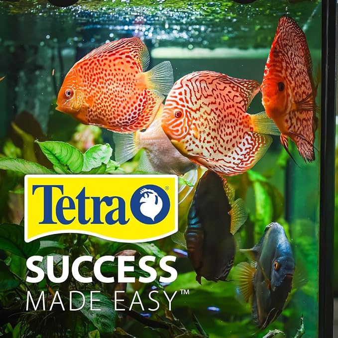 Tetra Cube 3 Gallon Starter Fish Tank Kit | Aquarium Kit Includes LEDs, 3 Gallon Acrylic Tank, Filter & Cartridge, For Small Tropical Fish, Guppies, Goldfish, or Betta