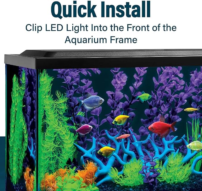 GloFish 10-Inch LED Light Stick for Fish Aquariums Up to 20 Gallons, 1 Count, with White, Blue and Magenta LED Lights