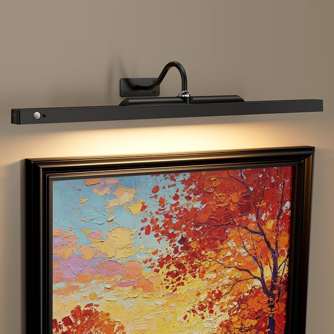 Wireless Picture Light for Wall with Motion Sensor, 24 Inch, Black, 1 Pack | 6000mAh Battery, Cordless, Magnetic Detachable Bar, Rechargeable, Remote Control, 3CCT Dimmable, for Artworks/Photos
