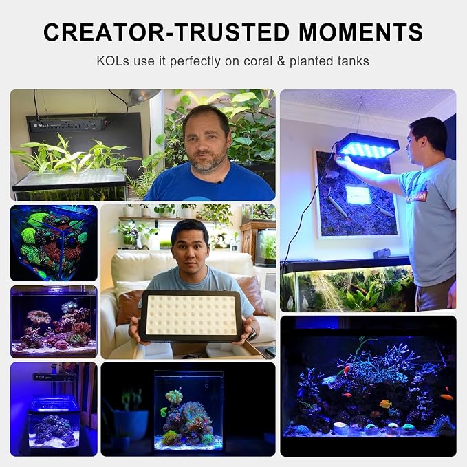 Wills Aquarium Light, 100W Full Spectrum LED Reef Lights, 20"x7"x2.4" | For Coral Saltwater Fish Tank, Blue/White Dual Dimmable Channels, 55 Premium SMD LEDs, Daisy Chain Design, Hanging Kit