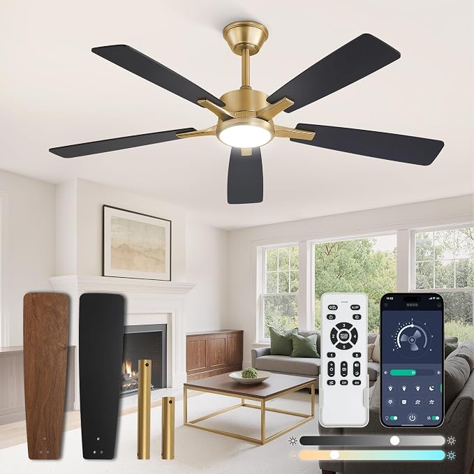 Fanbulous 52 Inch Black and Gold Ceiling Fan with Light, Remote & APP | Stepless CCT & Dimmable Light, 20W LED Ceiling Fan, 6 Speeds, Reversible Quiet DC Motor, for Bedroom, Living Room, Apartment