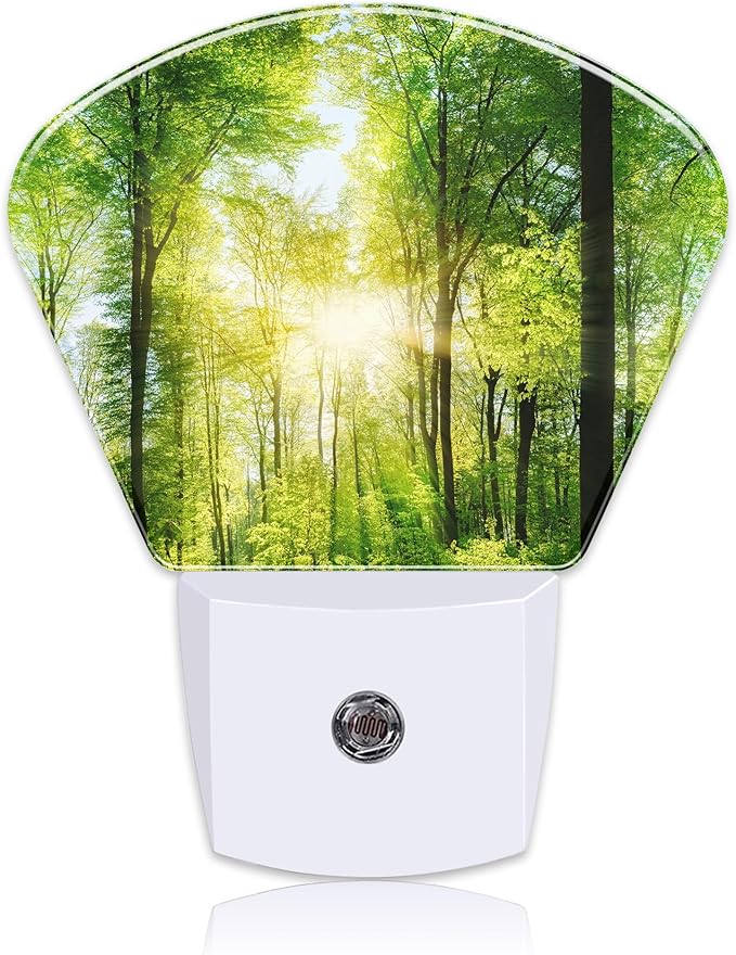 Light in The Lush Forest Night Light Plug into Wall, Sun Light Night Light with Dusk to Dawn Sensor for Kid Girls Boys Women Men Bedroom, Hallway, Kitchen, Bathroom, Stairs Decor