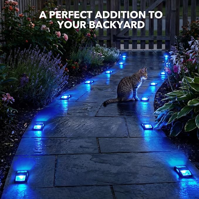 AGPTEK Solar Driveway Light 1 Pack, Outdoor Deck Dock Marine Waterproof | LED Solar Powered Driveway Marker Lights for Warning Step, Sidewalk, Pathway, Garden, Yard (Blue Light, Black)