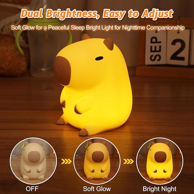 Cute Capybara Gifts, Capybara Lamp, Squishy Animal Night Light with Timer & Dimmer for Bedroom Decor, Silicone Rechargeable Bedside Light for Kids Boys Girls Women Baby Toddler Teens Gifts