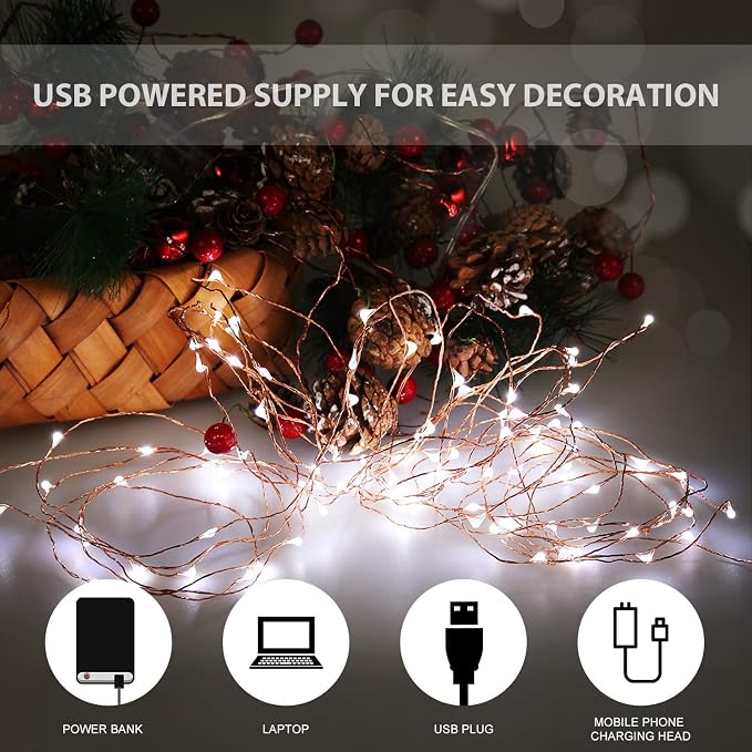 Ariceleo USB LED Fairy String Light, 1 Pack Copper Wire Fairy Lights for Indoor, Bedroom Festival Christmas Wedding Party Patio Decorative Window with USB Interface (33ft./10M,Cool White)
