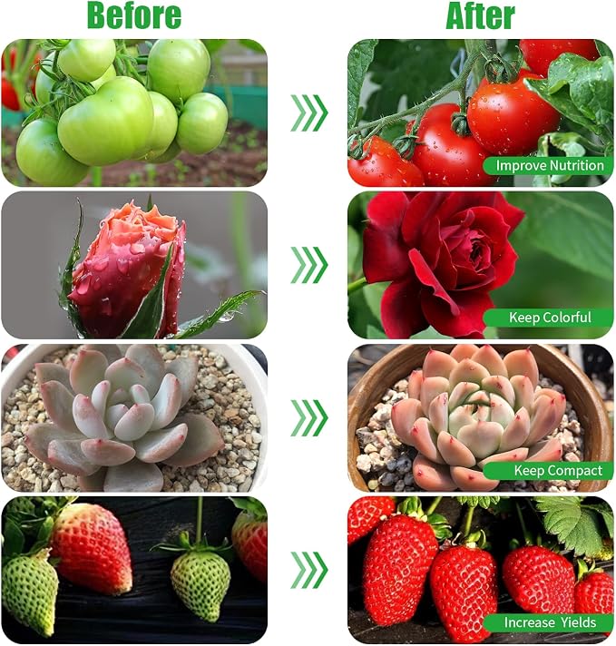 2 Head 2 Pack LED Plant Grow Light with Flexible Gooseneck, Suitable for Indoor Plants, Full Spectrum Clip on Plant Growing Light with Red, Blue, Yellow Beads, 10 Brightness Levels, 3/9/12H Auto Timer
