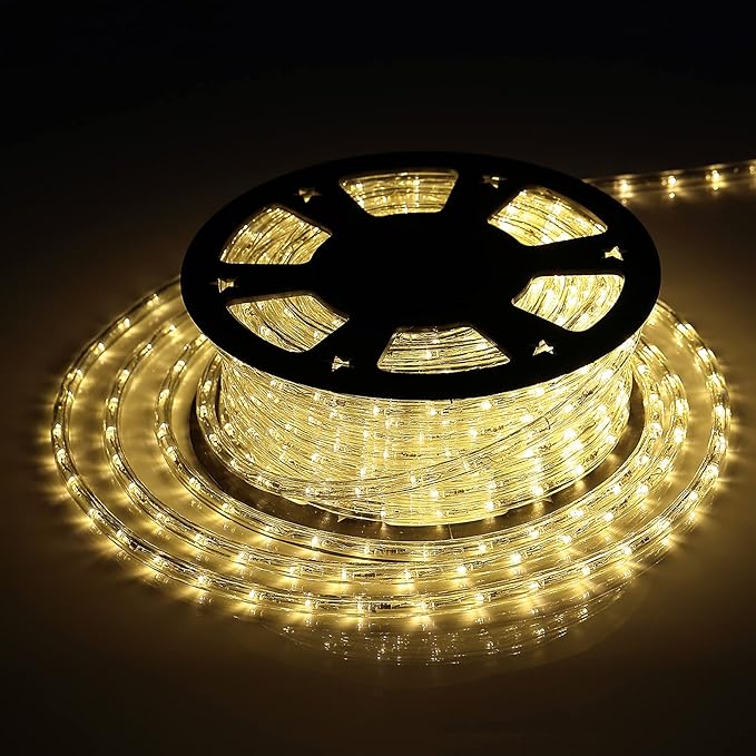 LED Rope Lights, 100ft 110V Waterproof Rope Lights for Outside, Outdoor String Lights, Ideal for Eaves, Backyards Garden, Christmas Decoration(Warm White)