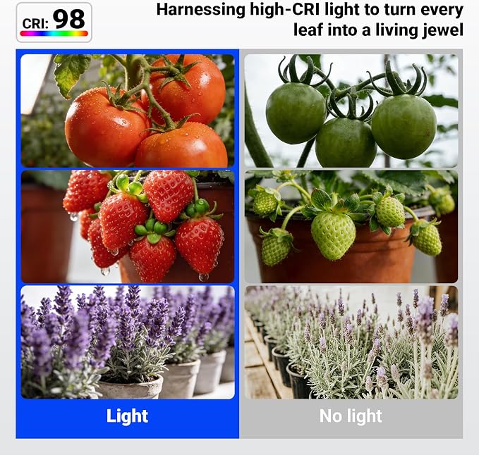 Barrina OG11A Grow Light Bulbs for Indoor Plant, 5000K 11W, 4 Packs, White | Integrated Dimming & Timing, E26 Plant Light Bulb, Full Spectrum, High PPFD for Seeds and Greens