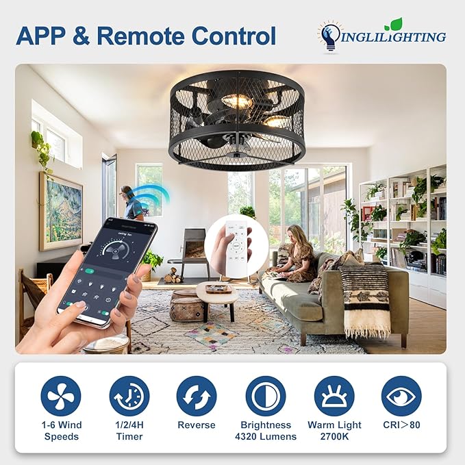 DLLT Caged Ceiling Fans with Light: 13" Small Outdoor Farmhouse Ceiling Fan with Remote App Control - Black Rustic Semi Flush Mount Bladeless Enclosed Fan for Bedroon Kitchen