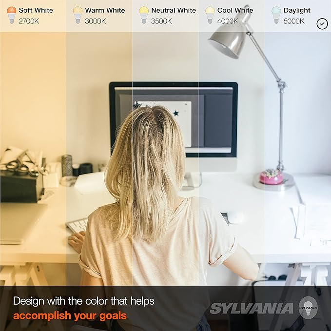 Sylvania ECO LED Light Bulb, A19, 100W Equivalent, Efficient 14.5W, 7 Year, 1450 Lumens, Frosted, 5000K, Daylight - 6 Pack (40884)