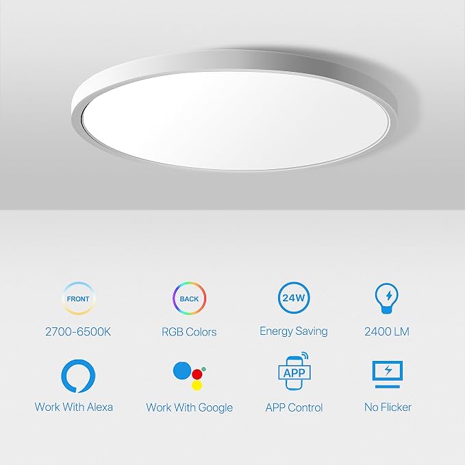 MELEGAN 12 Inch Smart RGB LED Flush Mount Ceiling Light (2 Pcs) | 24W Super Slim RGB Light, Color Changing, Music Sync, Flush Mount, Dimmable 2700-6500K, WiFi Alexa Google, for Kitchen Dining