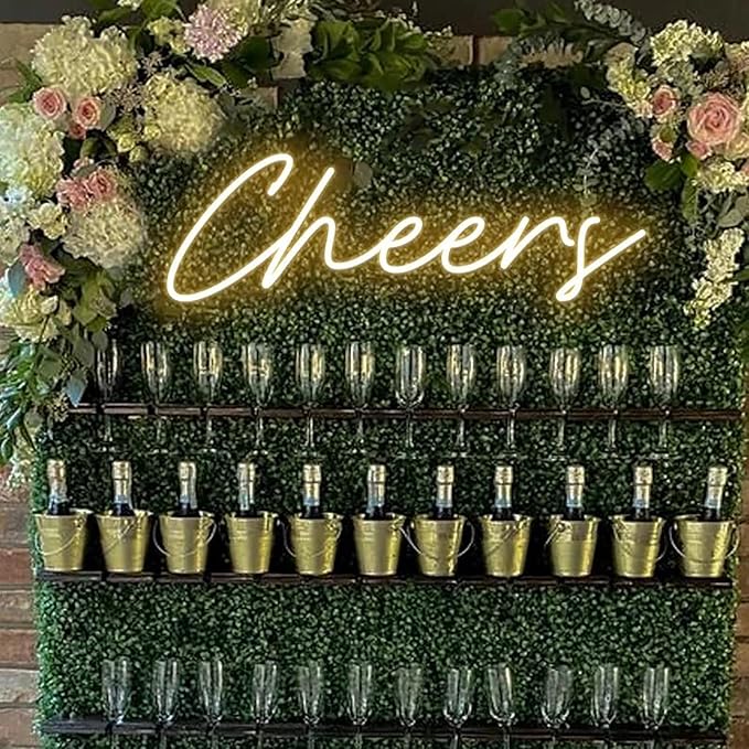 Cheers Neon Sign USB Powered with Dimmable Switch,LED Neon Light Sign for Wall Background Decor,Cheer Light Up Sign Neon for Bar Birthday Party Wedding 16.5 * 7in(Warm White)