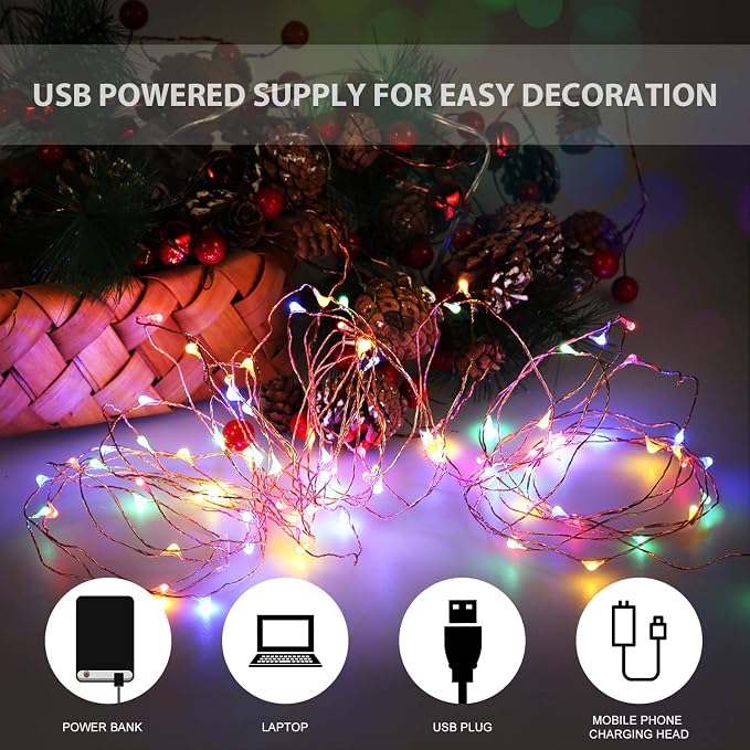 Ariceleo USB Powered String Light, 1 Pack USB Plug in Copper Wire Fairy Lights for Indoor, Bedroom Festival Christmas Wedding Party Patio Decorative Window with USB Interface (33ft./10M,Multi Color)