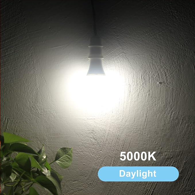 Qualilux Dusk to Dawn A19 LED Light Bulbs Outdoor, Automatic On/Off, 60W Equivalent, Daylight 5000K, Energy Efficient 9.5W, 850 Lumen, E26 Base, 4-Pack, HQ-H012