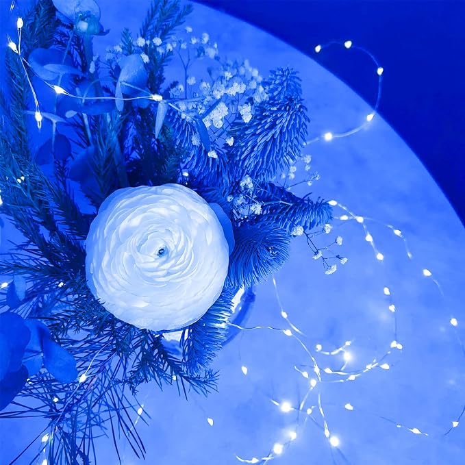 4 Pack Blue Fairy Lights Battery Operated with Remote, Waterproof 20FT 60LED Cuttable Twinkle Lights with Timer Indoor Outdoor, String Light for Bedroom, Classroom, Wedding, DIY, Christmas Décor
