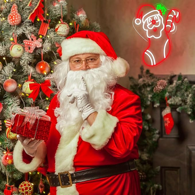 Merry Christmas Neon Sign Dimmable Santa Claus In Stockings Neon Light USB Powered Holly Led Light up Sign for Christmas Eve Party New Year Home Bar（16.5 * 12.6 In）