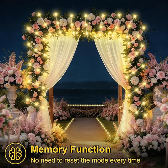 QITONG Warm White Solar Rope Lights, 2 Pack Each 33ft 100 LED String Light Outdoor, 8 Modes Fairy Lights in Clear Thin Tube