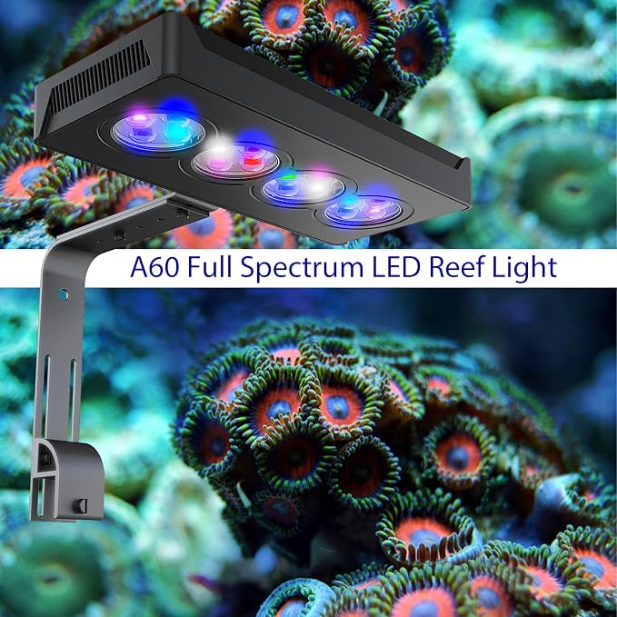 Aquarium Light 60W Reef Light for Coral SPS LPS Saltwater Light | Dimmable for SPS/LPS Corals,Sunrise, Sunset, Moonlight Modes, Ideal for 20-36in Saltwater Reef Fish Tanks Up To 60 Gallons