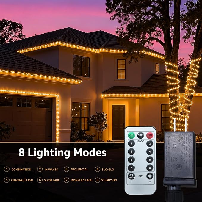 2x50ft LED Rope Light with Remote 8 Modes Strip Lights with Timer & Memory 5.5mm Large Diameter Twinkle Lights for Wedding Garden Christmas Halloween Bedroom Patio Decorations (Warm White)
