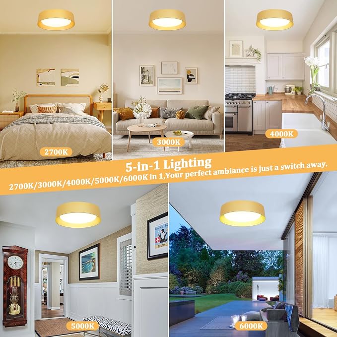 Flush Mount Ceiling Light, 16in Modern Ceiling Light 5 Color Temperature | 30W Bathroom Ceiling Light Fixture, 3000LM Dimmable LED Flush Mount Light for Bedroom, Hallway, Kitchen, Gold