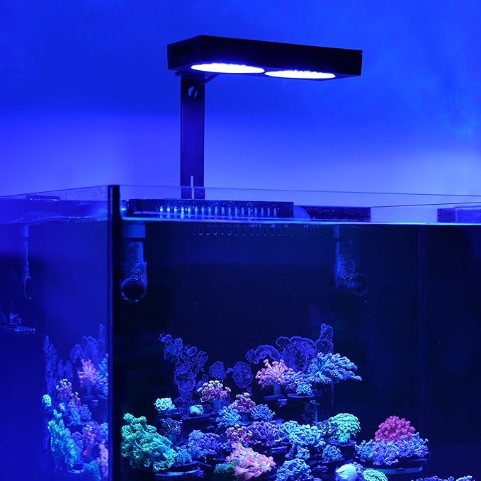 NICREW NavaReef 135 Reef LED Light, 135W Reef Aquarium Lighting for LPS/SPS Corals and Saltwater Fish Tanks, Built-in Timer, Blue Focused Spectrum