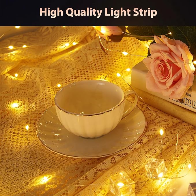 Ariceleo 2 Packs Warm White & Multi-Color Battery Operated String Lights, 5M/16.4ft. 50 LEDs Remote Control Timer 12 Modes Optional Twinkle Battery Powered Fairy Lights Sliver Wire Firefly Lights