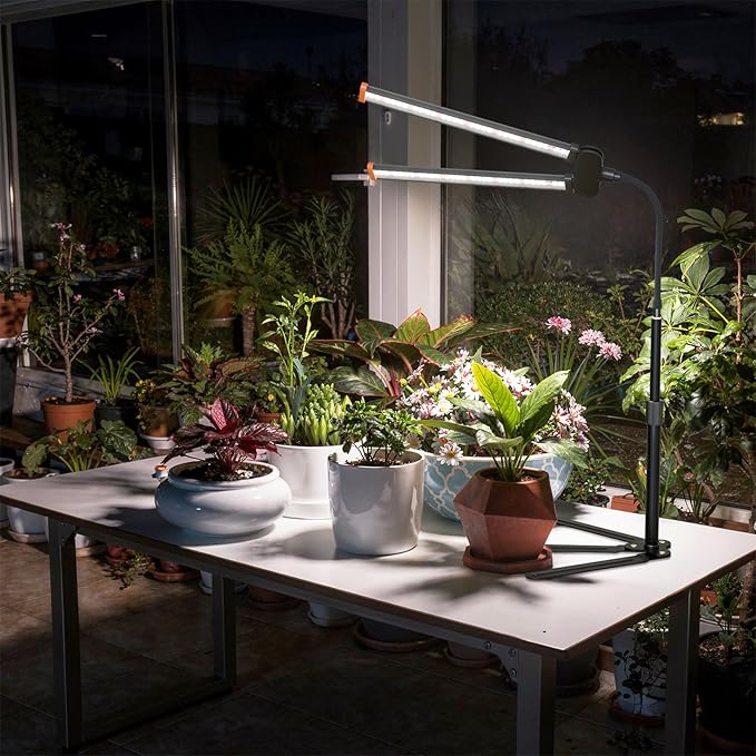 Grow Light for Indoor Plant, 6000K Full Spectrum Plant Lamp | White Red Blue LED for Pot Succulents Seed Growing, Light Strip Foldable & Height Extendable 9-25'', Auto Timer 4 8 12Hrs