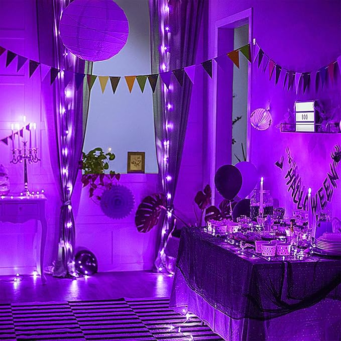 16 Pack 30 Led Fairy Lights Battery Operated String Lights 10 Feet Waterproof Twinkle Lights Mason Jar Purple