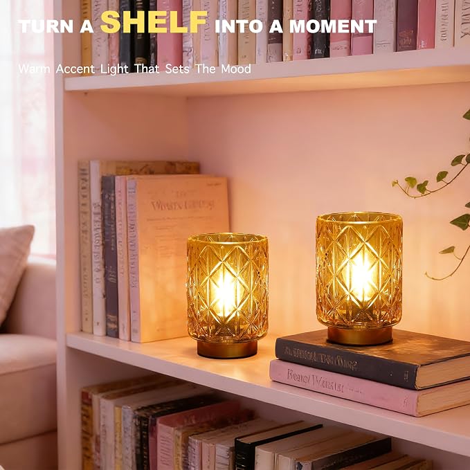 ULAROOM 2 Pack Battery Operated Decorative Lamp,Amber | Cordless Samll Battery Accent Lamp with Timer for Bedside,Warm White Cozy Ambient Table Lamps for Shelf/Entryway/Table Decor