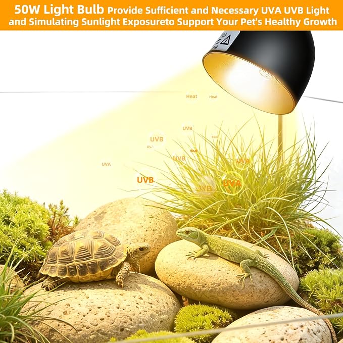 COOSPIDER 50W Turtle Basking Light Reptile Heat Lamp with Clamp & Timer | Fixture 360° Rotatable Hose with 2 Spare G9 Base Bulbs for Plants Small Reptiles Bearded Dragon Lizard Snake