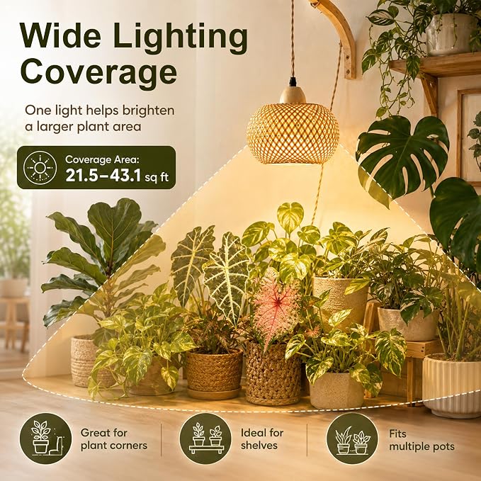 Wall Mounted Grow Lights for Indoor Plants with Timer, Hanging Light | 3500K Full Spectrum Pendant Grow Light, Rattan Shade Decorative Plant Light, 19.7FT Cord for Living Room Corners Plants